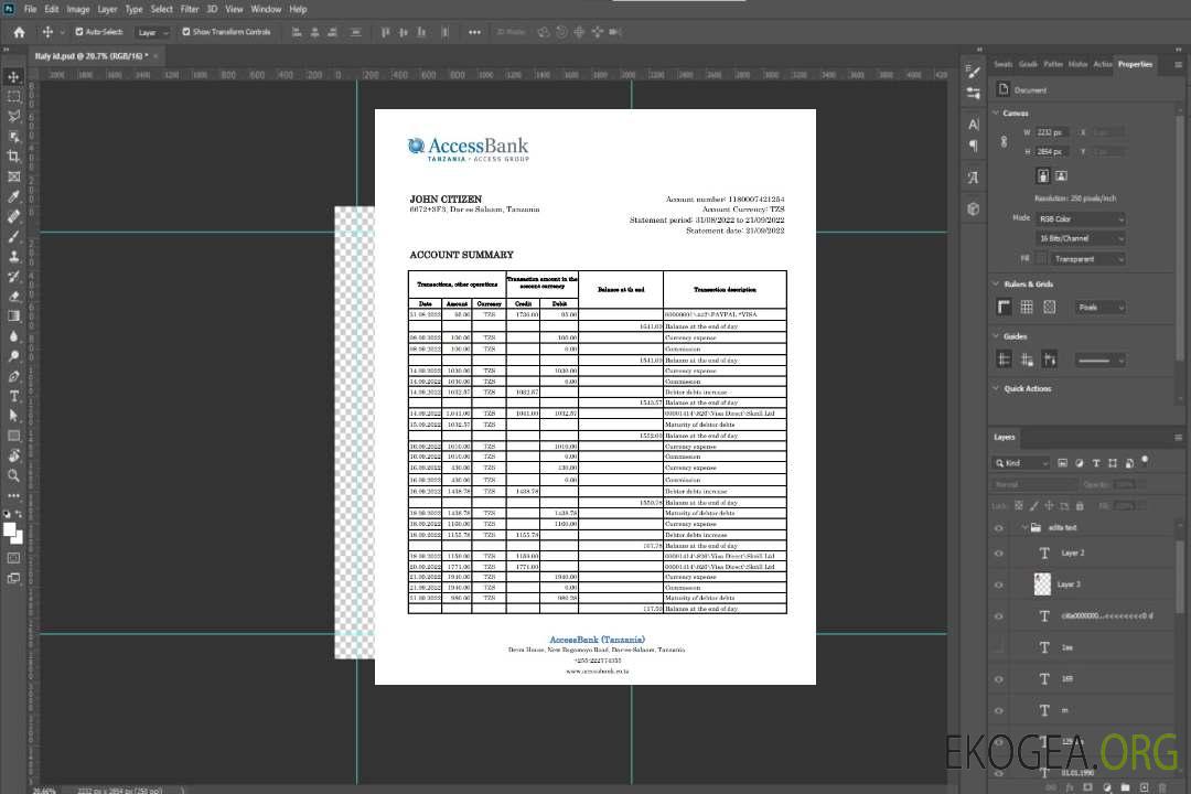 Déclaration de la Tanzanie Access Bank template Déclaration de la Tanzanie Access Bank template